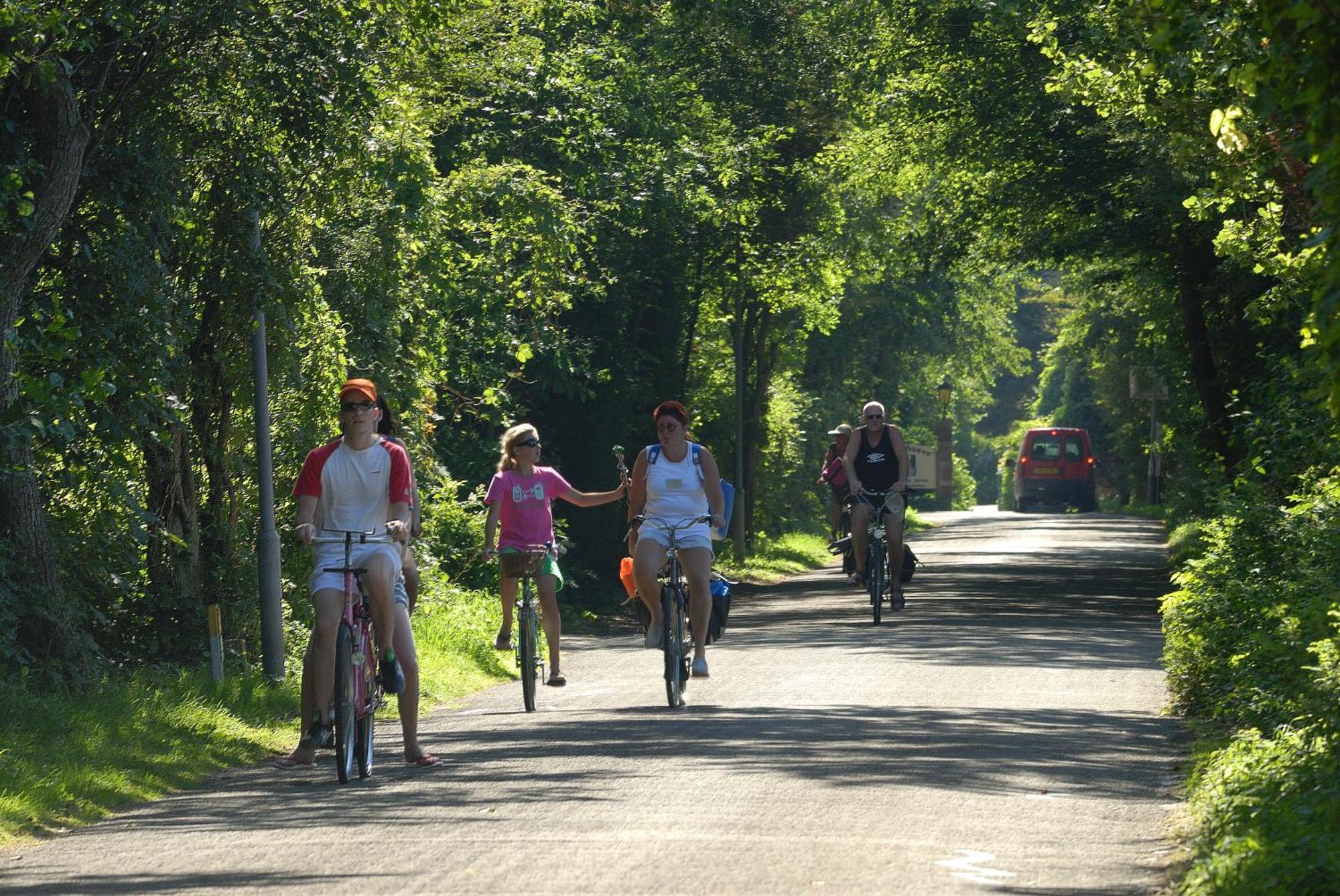 Hof Van Renesse Noordwelle ภายนอก รูปภาพ